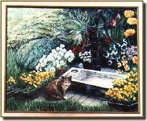 Cat in A Garden
