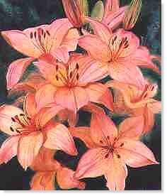 Day Lilies by N. Russell