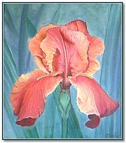 ”Iris” by N Russell